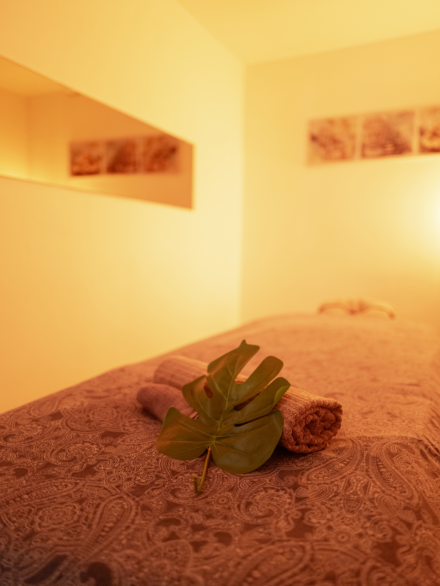 LANDAU_NATURE_ENERGY_MASSAGE_OUT25_12 (1)